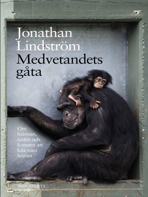 cover image of Medvetandets gåta